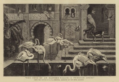 Die Haustiere eines östlichen Palastes, eine tunesische Studie von Harry Hamilton Johnston