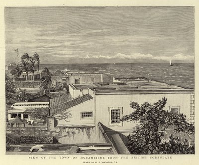 Ansicht der Stadt Mocambique vom britischen Konsulat von Harry Hamilton Johnston
