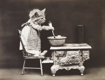 Kitties Serie: Koch am Herd, um 1914 von Harry Whittier Frees