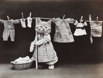 Kitties Serie: Wäsche trocknen, ca. 1914 von Harry Whittier Frees