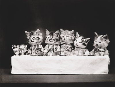 Kitties Serie: Das letzte Abendmahl, um 1914 von Harry Whittier Frees