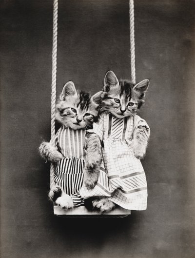 Kätzchen-Serie: Auf einer Schaukel, ca. 1914 von Harry Whittier Frees