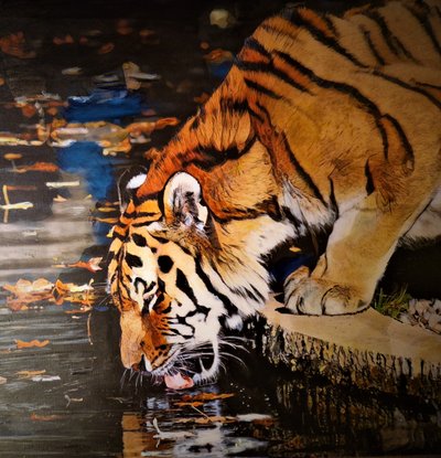 Tiger von HaskellArt