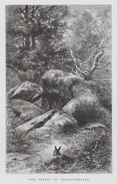 Das Insekt: Der Wald von Fontainebleau von Hector Giacomelli