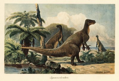 Iguanodon bernissartensis in einem prähistorischen Farnwald von Heinrich Harder