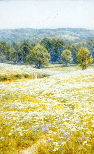 Wiesenmargeriten, nahe Westerham, Kent von Helen Allingham