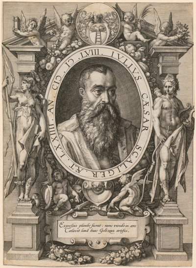 Porträt von Julius Caesar Scaliger von Hendrick Goltzius