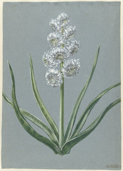 Hyazinth Markgraf Karl von Baden-Durlach von Hendrik Budde