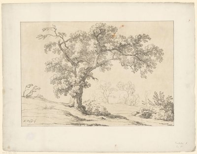 Baum in Landschaft von Hendrik Voogd