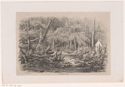 Umgestürzte Bäume an der Jacobalaan nach dem Sturm vom 28. Mai 1860 von Hendrik Wilhelmus Last