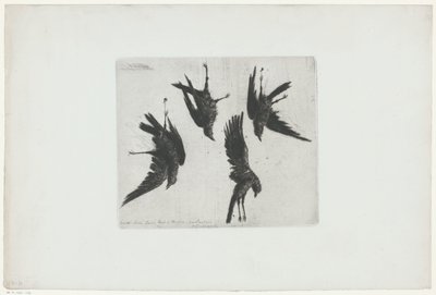 Vier tote Krähen an einer Wand hängend von Henri Charles Guérard (signed by artist)