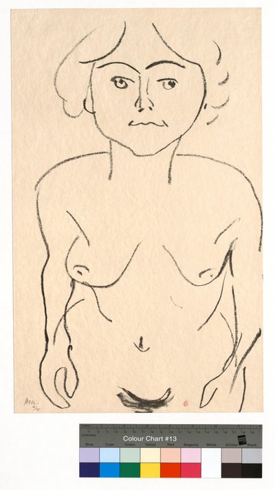 Weiblicher Akt von vorn, aus der Vogelperspektive von Henri Matisse