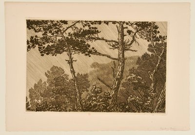 [Bäume im Regenschauer] von Henri Rivière