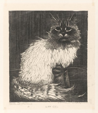 Bunte Angora von Henri Verstijnen (signed by artist)