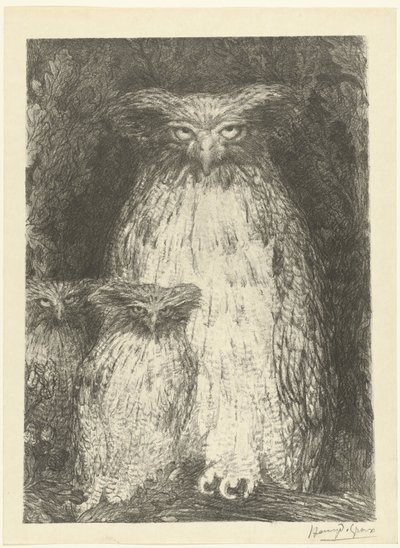 Eule mit zwei Eulenküken auf einem Ast von Henri de Groux