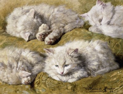 Studien einer langhaarigen weißen Katze, 1896 von Henriëtte Ronner Knip