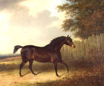 Ein dunkelbrauner Hengst in einer Landschaft von Henry Bernard Chalon