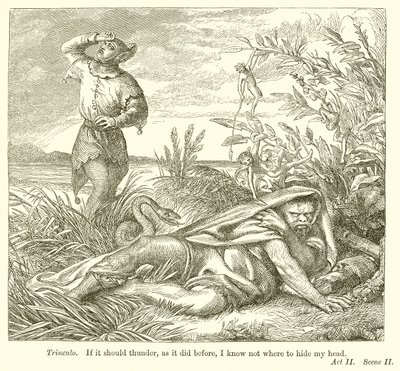 Der Sturm von Henry Courtney Selous
