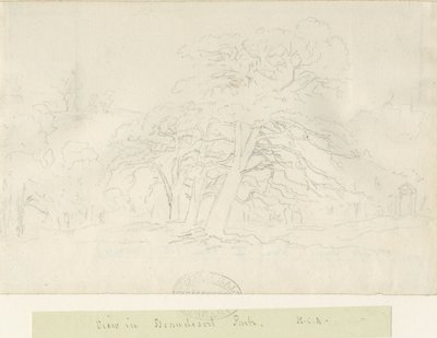 Beaudesert Park: Bleistiftzeichnung, undatiert [1788-1855] von Henry Curzon Allport