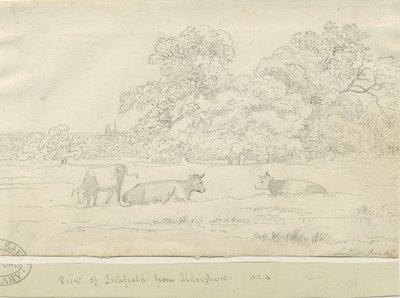 Lichfield - Ansicht von Aldershaw von Henry Curzon Allport