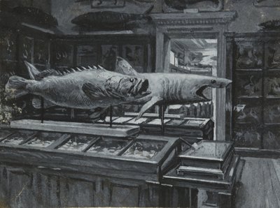 Innenansicht des British Museum mit der Galerie der Fisch-Exponate, ca. 1880 von Henry Edward Tidmarsh