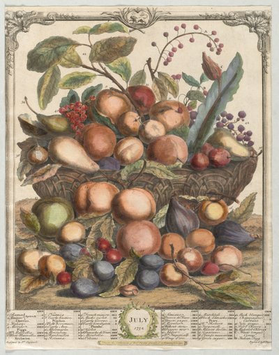 Zwölf Monate Obst: Juli von Henry Fletcher
