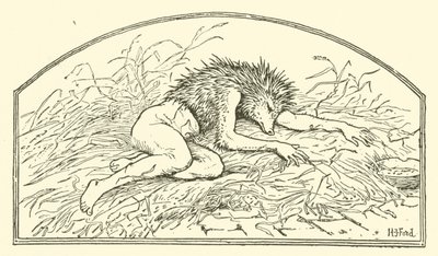 Jack mein Igel (Gravur) von Henry Justice Ford