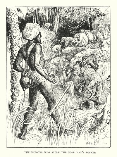 Die Paviane, die dem armen Mann das Abendessen stahlen (Gravur) von Henry Justice Ford