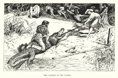 Die Gefangennahme des Kaimans von Henry Justice Ford