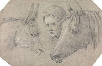 Kopf eines Stallburschen, der zwischen den Köpfen eines Pferdes links und eines Esels rechts schaut von Henry Thomas Alken