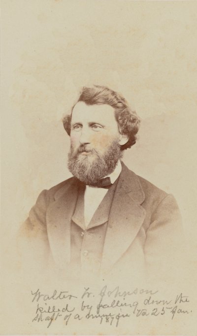Porträt von Walter W. Johnson, 1868 von Henry Ulke