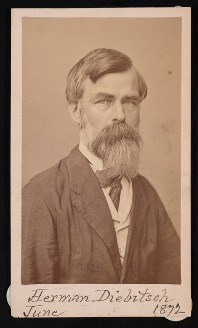 Porträt von Herman Henry Diebitsch von Henry Ulke