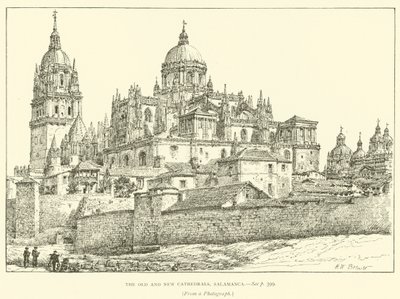 Die alte und neue Kathedrale, Salamanca (Stich) von Henry William Brewer