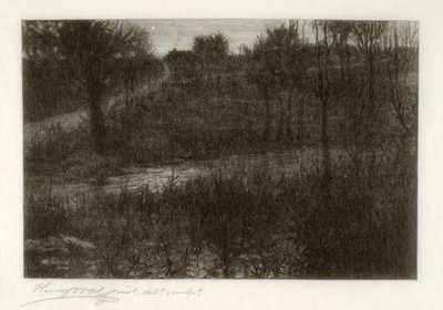 Der Abendstern (Motiv in den Catskills gefunden) von Henry Wolf