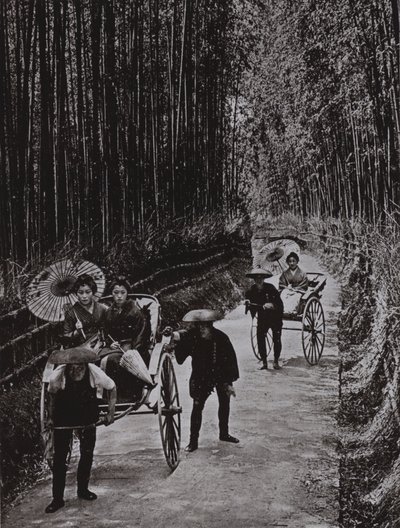 Eine Bambusallee in Kyoto von Herbert Ponting