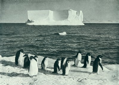 Ein Eisberg treibt im McMurdo-Sund, ca. 1910-1913, 1913 von Herbert Ponting