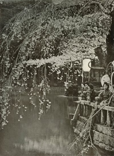 Kirschblütenzeit in Japan, 1910 von Herbert Ponting