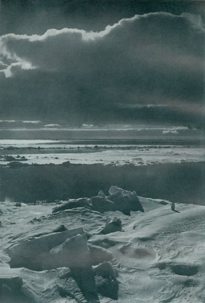 Abendszene im Park, um 1910-1913, 1913 von Herbert Ponting