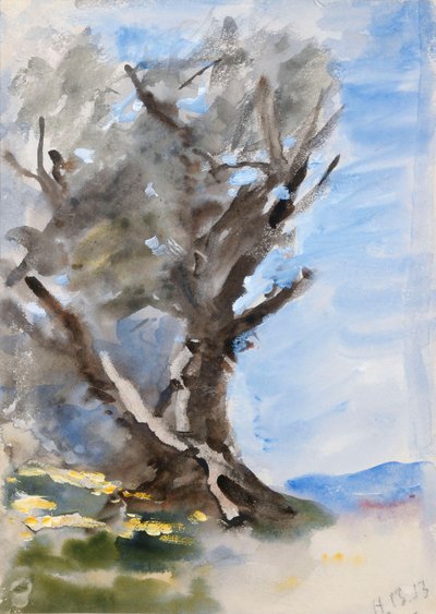 Ein Baum von Hercules Brabazon Brabazon