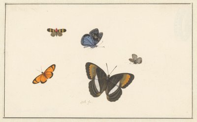 Fünf Schmetterlinge von Herman Henstenburgh