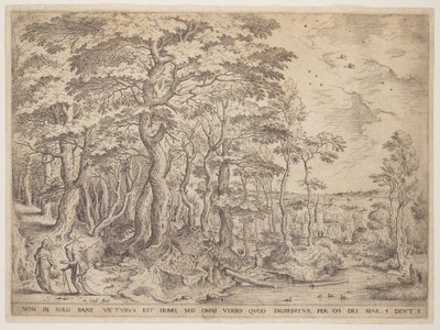 Landschaft mit Christus von Hieronymus Cock