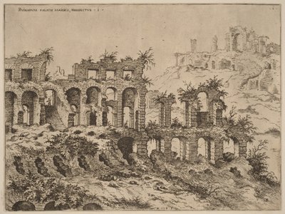 Ansicht des Kolosseums mit dem Palatin im Hintergrund von Hieronymus Cock