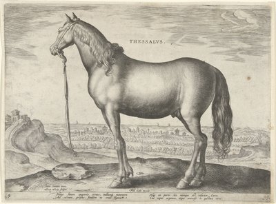 Pferd aus Thessalien von Hieronymus Wierix