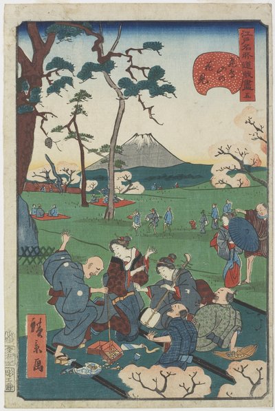 Nr. 5, Kirschblütenbesichtigung am Asuka-Hügel von Hirokage Utagawa