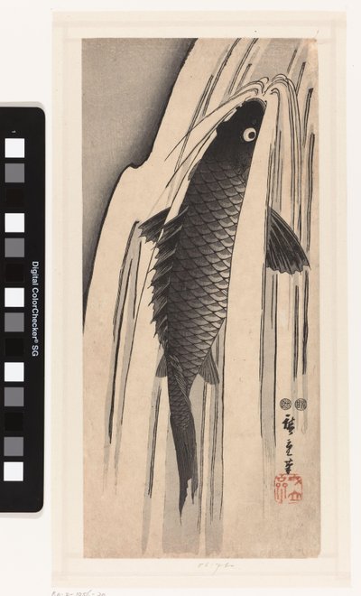 Karpfen schwimmt gegen einen Wasserfall von Hiroshige (I) , Utagawa