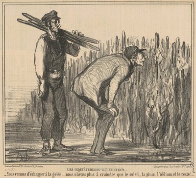 Die Sorgen des Winzers von Honoré Daumier