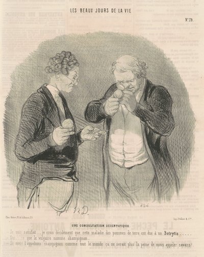 Eine wissenschaftliche Beratung von Honoré Daumier