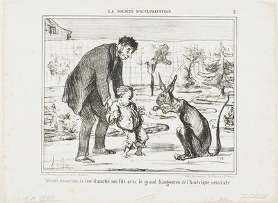 Ein Wissenschaftler versucht, sich mit seinem Sohn und einem großen Känguru aus Zentralamerika anzufreunden, Platte 3 aus La Société D