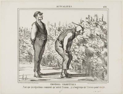 Emotionen vom Land. „- Muss sehen, wie der Wein wächst… habe es noch nie gesehen…“, Platte 436 aus Actualités von Honoré Victorin Daumier