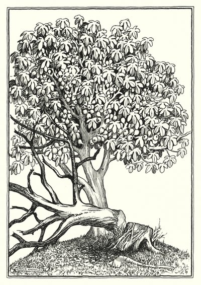 Illustration zur Bergpredigt von Horace J. Knowles